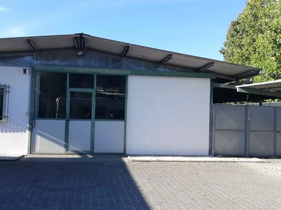 Immagine 2 di Attività artigianale in affitto  a Massa