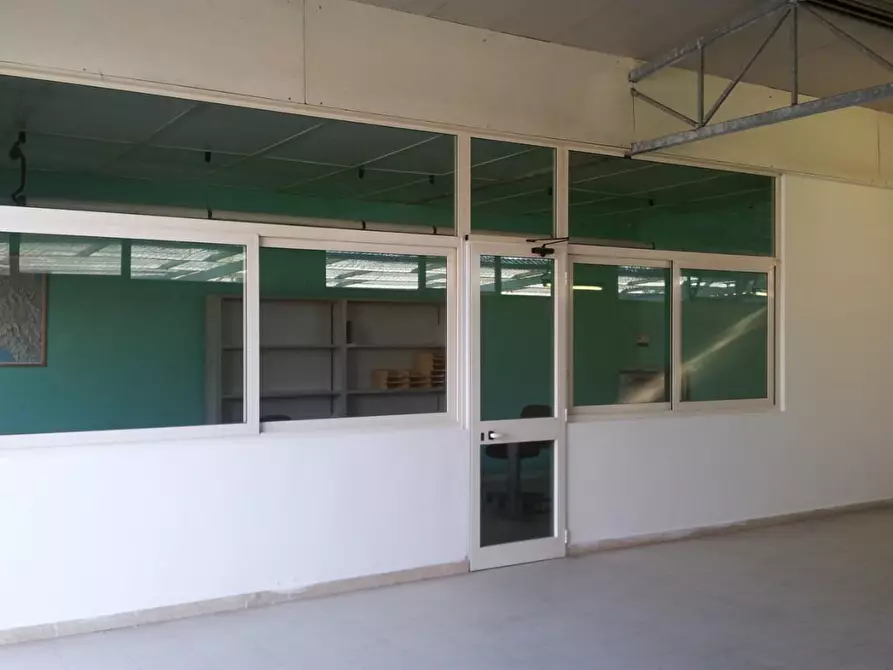 Immagine 5 di Attività artigianale in affitto  a Massa