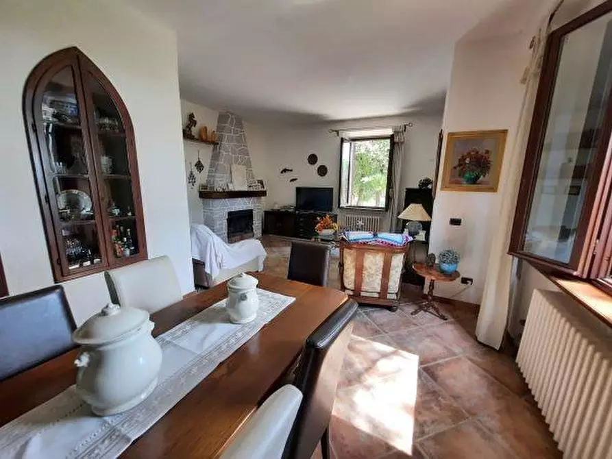 Immagine 13 di Villa in vendita  a Rosignano Marittimo