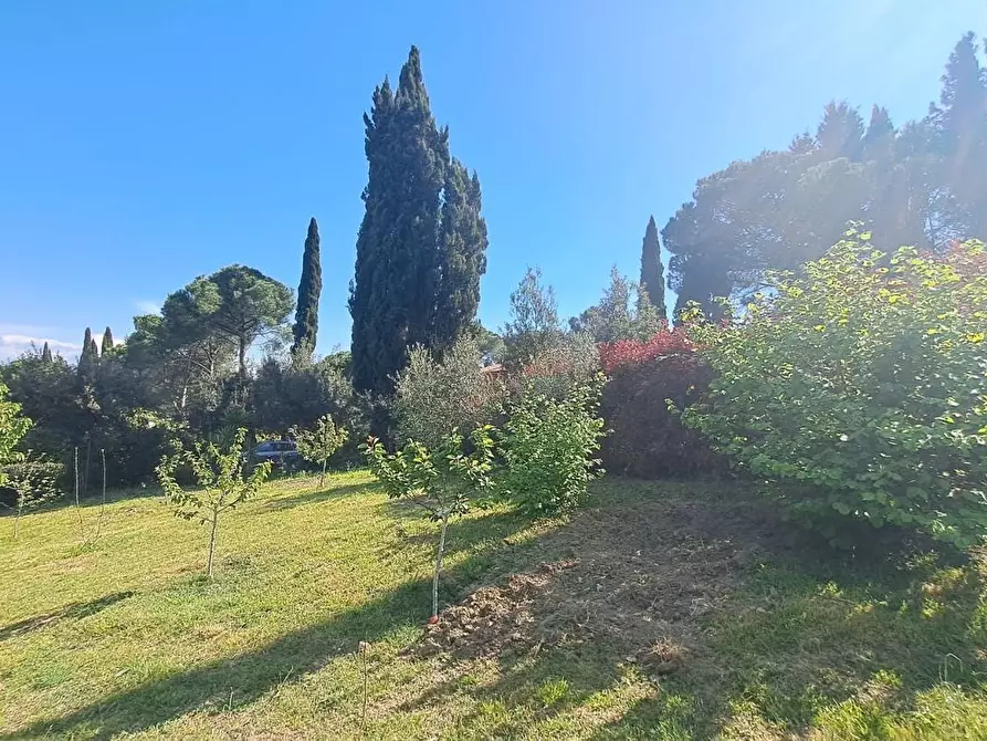 Immagine 37 di Villa in vendita  a Rosignano Marittimo