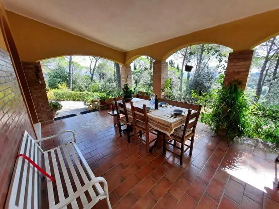 Immagine 2 di Villa in vendita  a Rosignano Marittimo