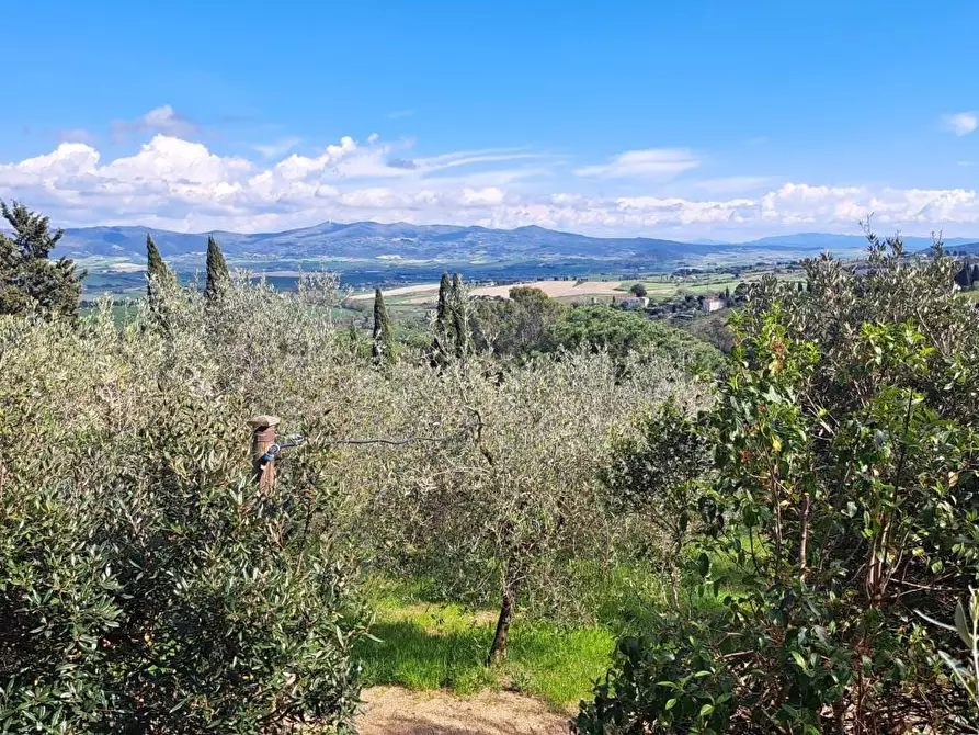 Immagine 36 di Villa in vendita  a Rosignano Marittimo