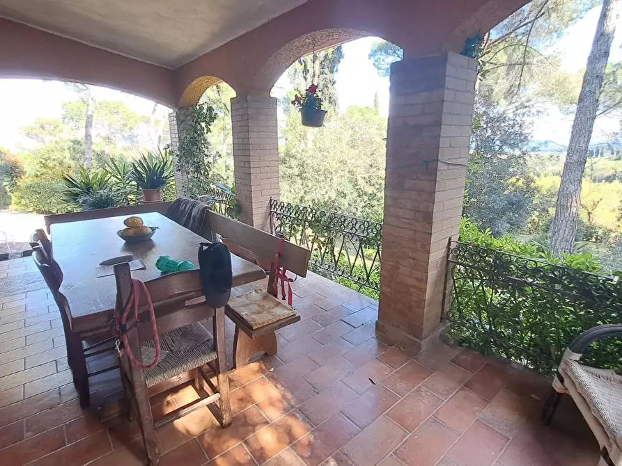 Immagine 6 di Villa in vendita  a Rosignano Marittimo