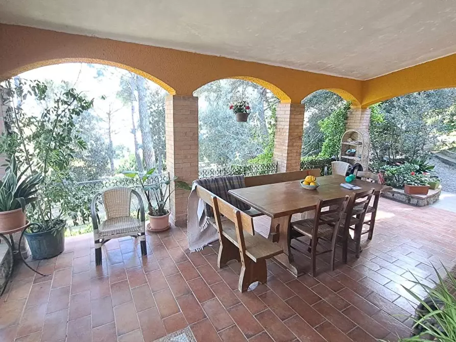 Immagine 7 di Villa in vendita  a Rosignano Marittimo
