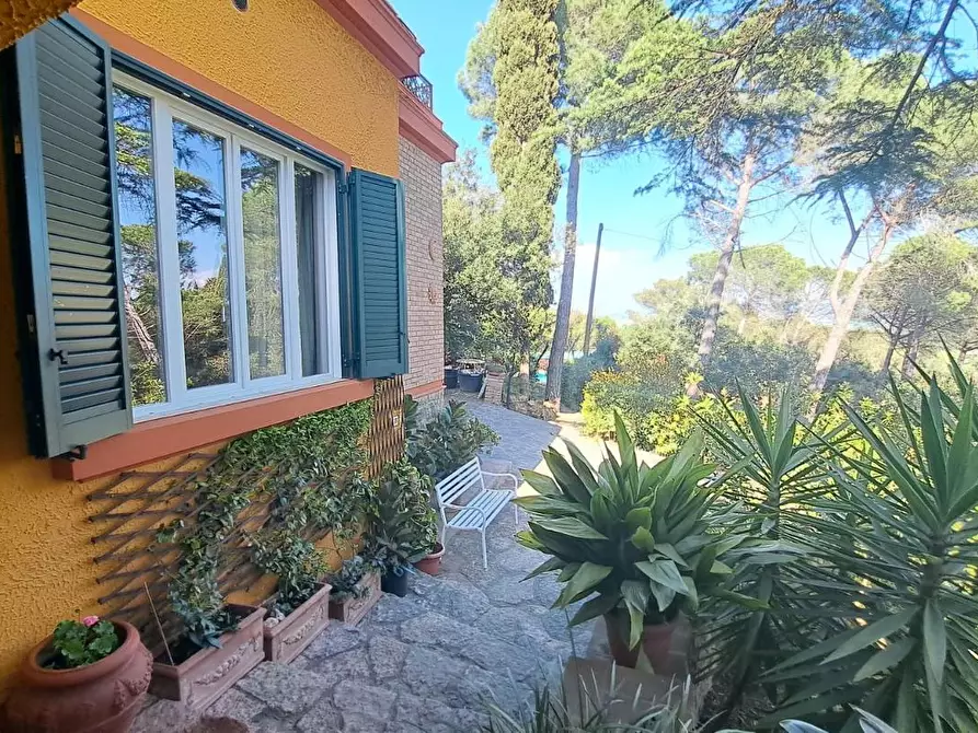 Immagine 42 di Villa in vendita  a Rosignano Marittimo