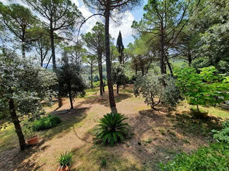 Immagine 40 di Villa in vendita  a Rosignano Marittimo