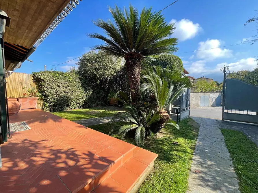 Immagine 2 di Casa bifamiliare in affitto  a Montignoso