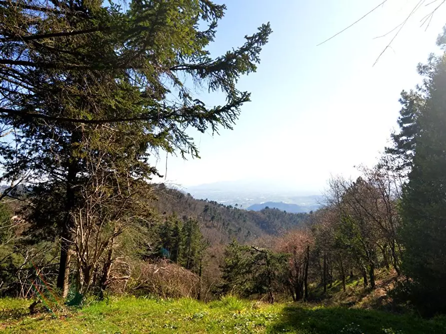 Immagine 8 di Casa colonica in vendita  a Lucca