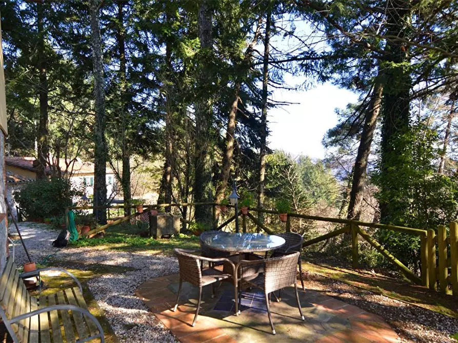 Immagine 7 di Casa colonica in vendita  a Lucca