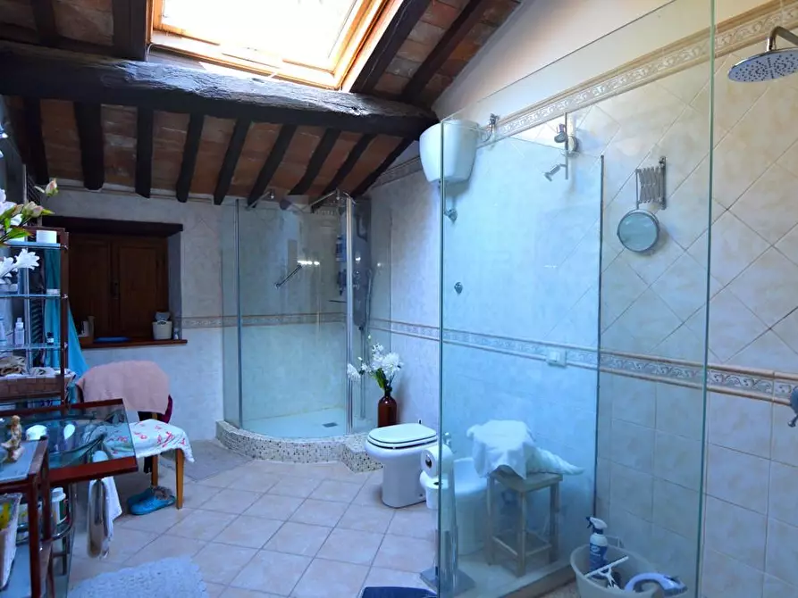 Immagine 33 di Casa colonica in vendita  a Lucca