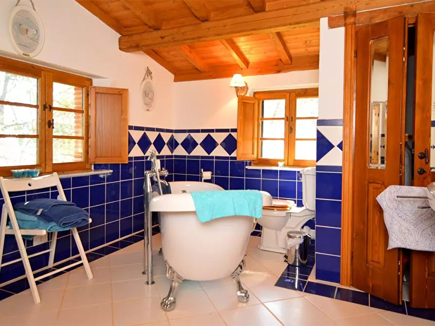 Immagine 17 di Casa colonica in vendita  a Lucca