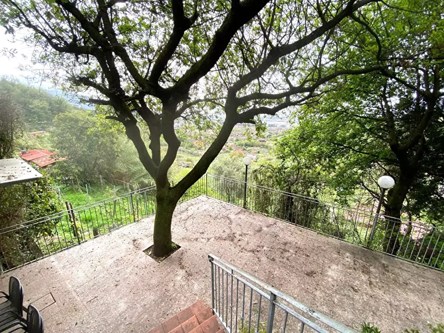 Immagine 21 di Villa in vendita  a Massa