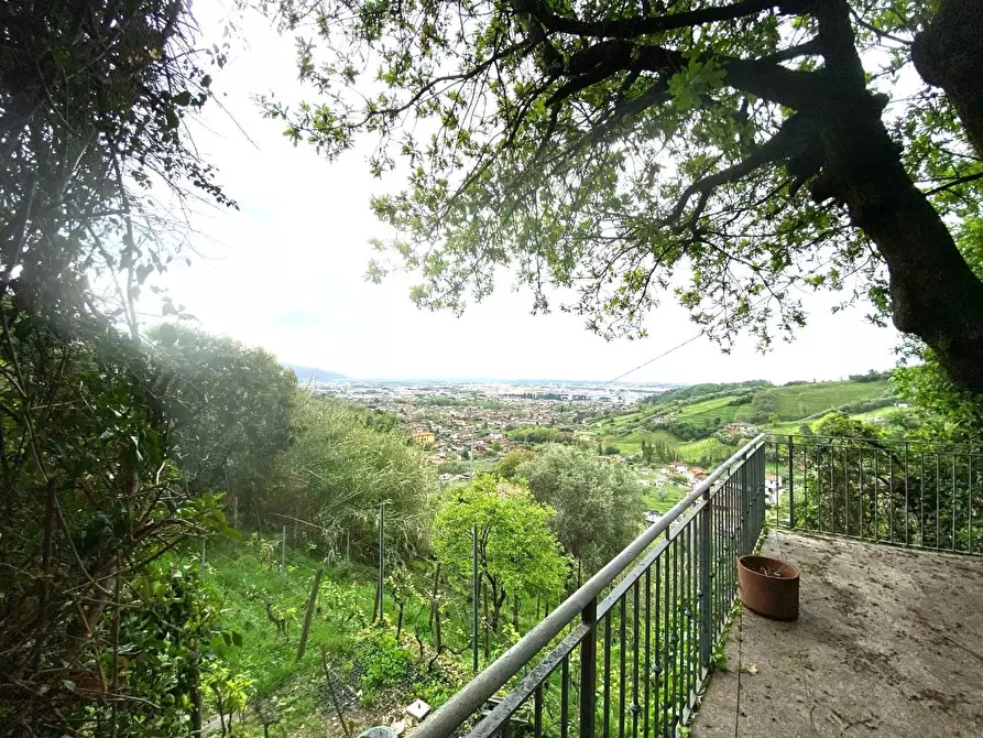 Immagine 22 di Villa in vendita  a Massa