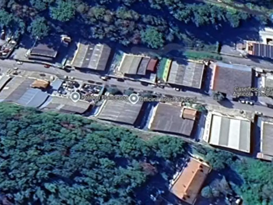 Immagine 6 di Attività commerciale in vendita  a Vetralla