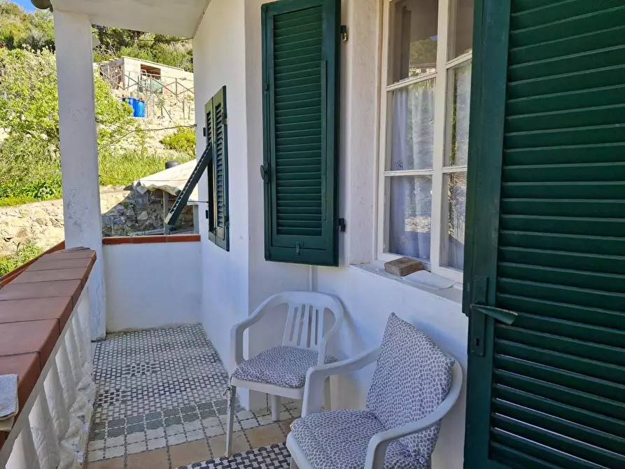 Immagine 17 di Appartamento in vendita  a Rio Marina