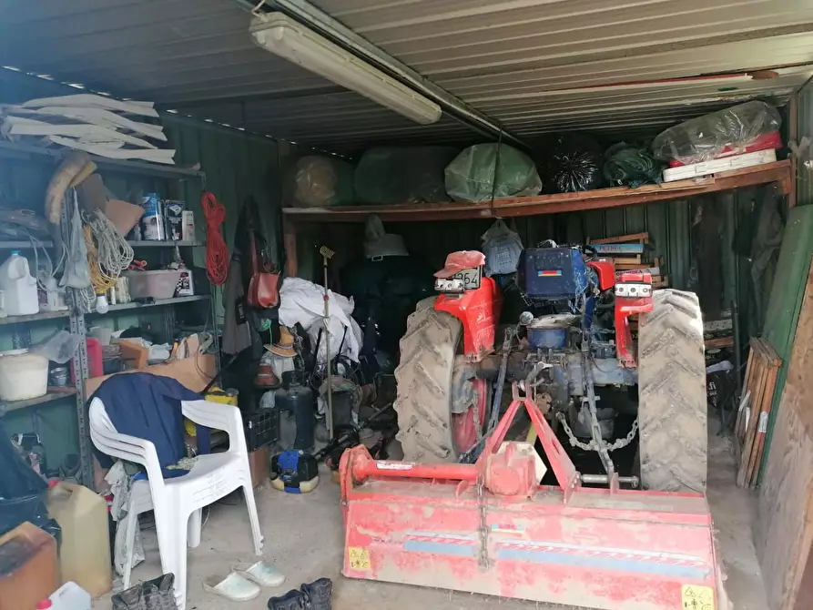 Immagine 14 di Terreno agricolo in vendita  a Casciana Terme Lari