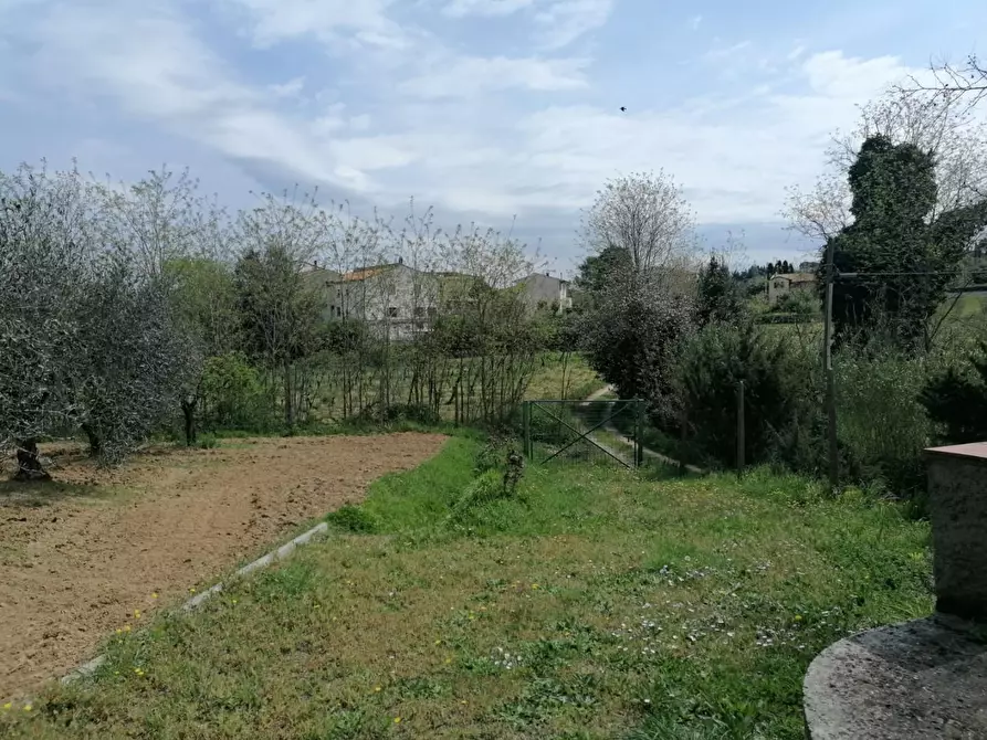 Immagine 13 di Terreno agricolo in vendita  a Casciana Terme Lari