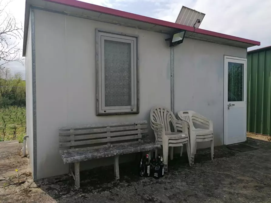 Immagine 6 di Terreno agricolo in vendita  a Casciana Terme Lari