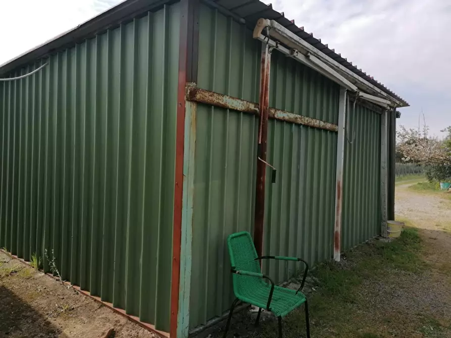 Immagine 7 di Terreno agricolo in vendita  a Casciana Terme Lari