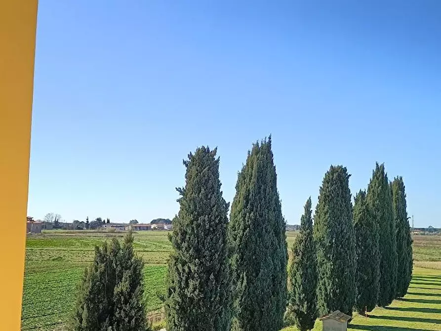 Immagine 12 di Casa bifamiliare in vendita  a Vecchiano