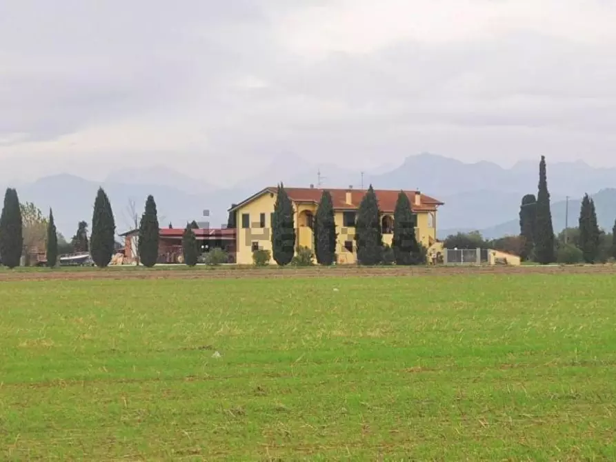 Immagine 11 di Casa bifamiliare in vendita  a Vecchiano