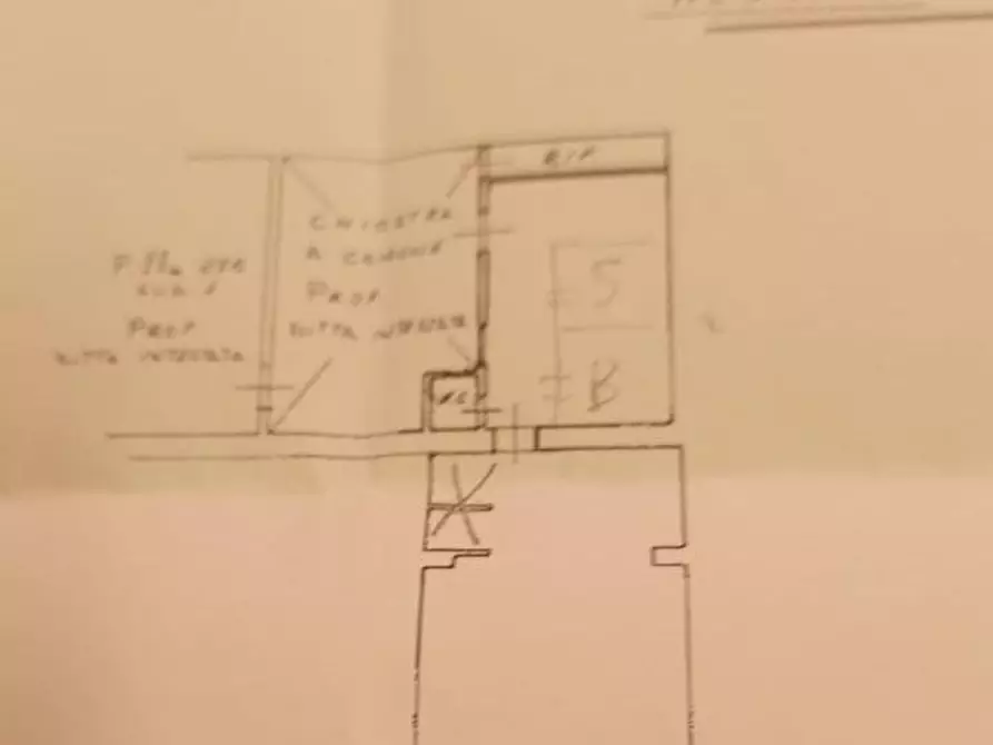 Immagine 18 di Alimentari in vendita  a Livorno