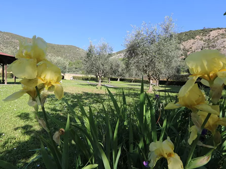 Immagine 1 di Appartamento in vendita  a San Giuliano Terme