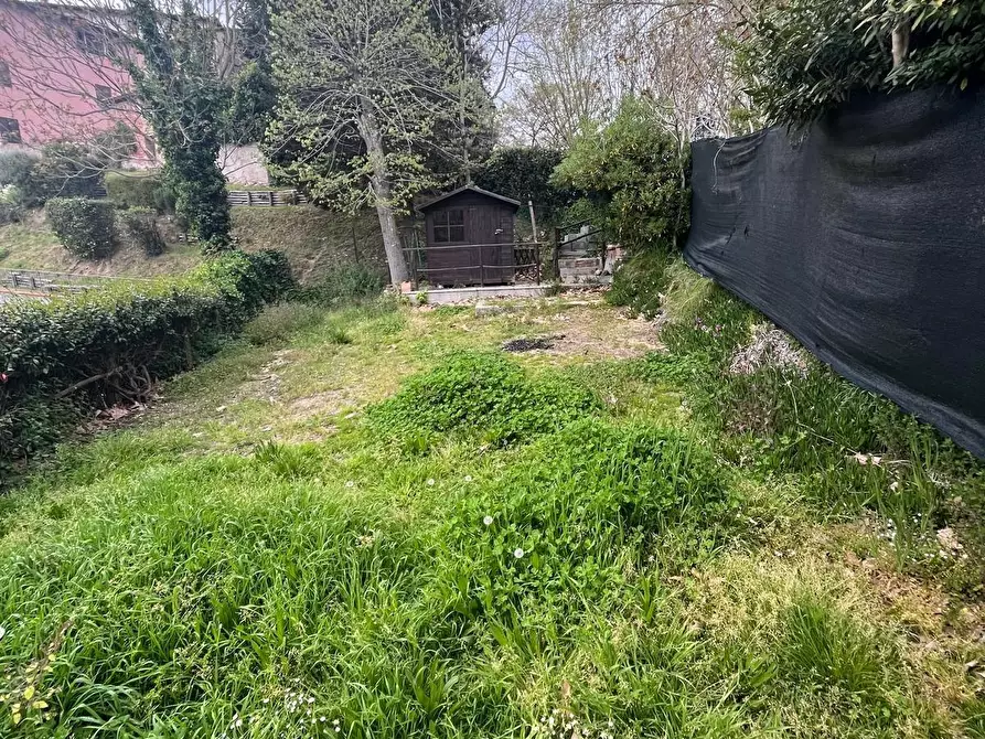 Immagine 14 di Appartamento in vendita  a Palaia