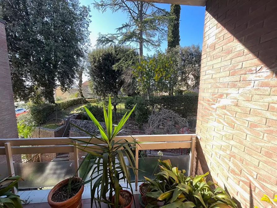 Immagine 15 di Appartamento in vendita  a Siena