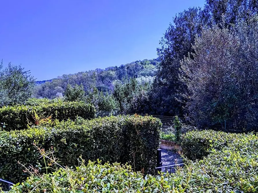 Immagine 28 di Appartamento in vendita  a Montopoli In Val D'arno