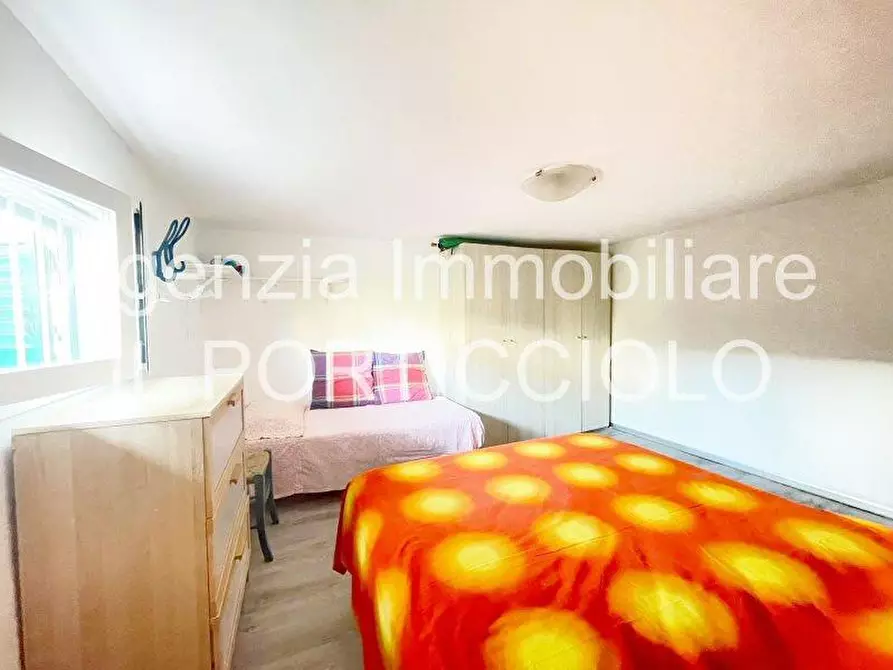 Immagine 19 di Appartamento in vendita  a Cecina