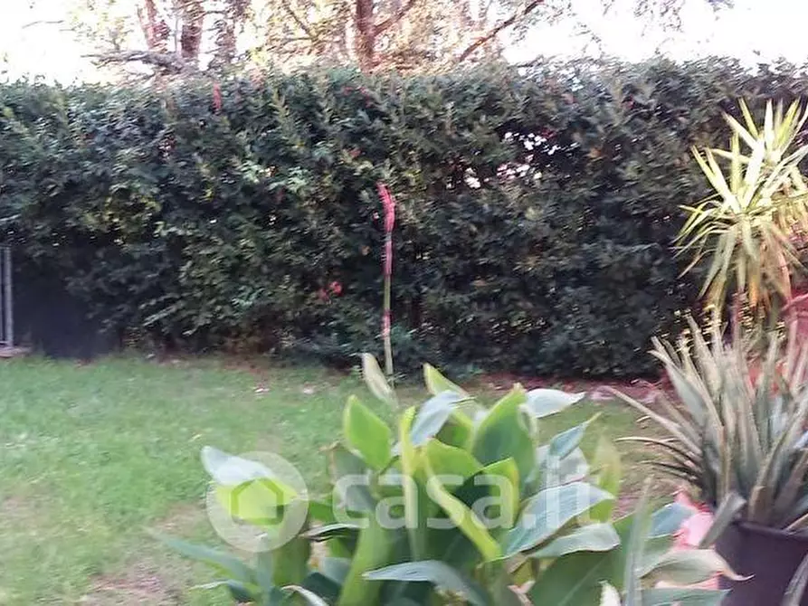 Immagine 3 di Appartamento in vendita  a Peccioli