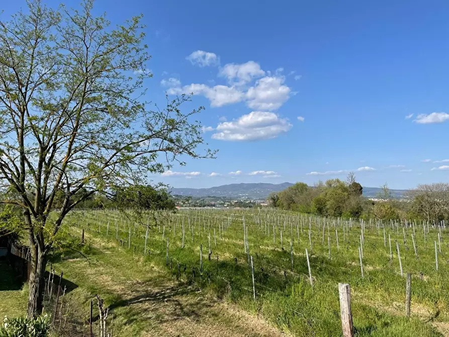 Immagine 65 di Casa semindipendente in vendita  a Empoli