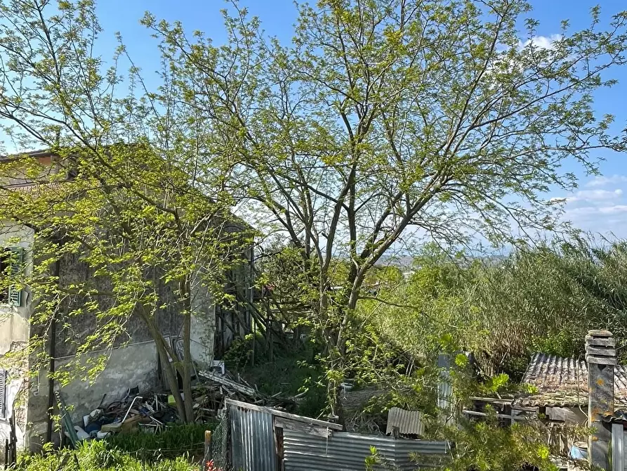 Immagine 17 di Casa semindipendente in vendita  a Empoli