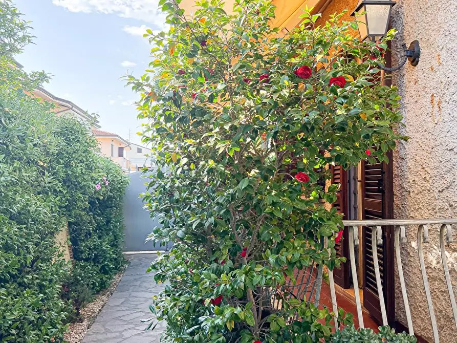 Immagine 47 di Casa indipendente in vendita  a Viareggio