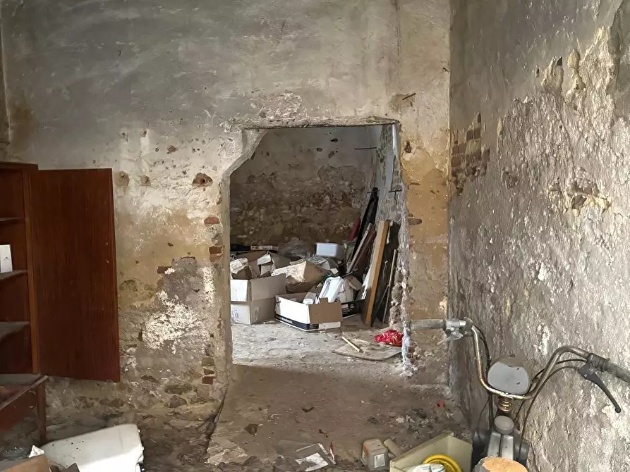 Immagine 12 di Terratetto in vendita  a Casciana Terme Lari