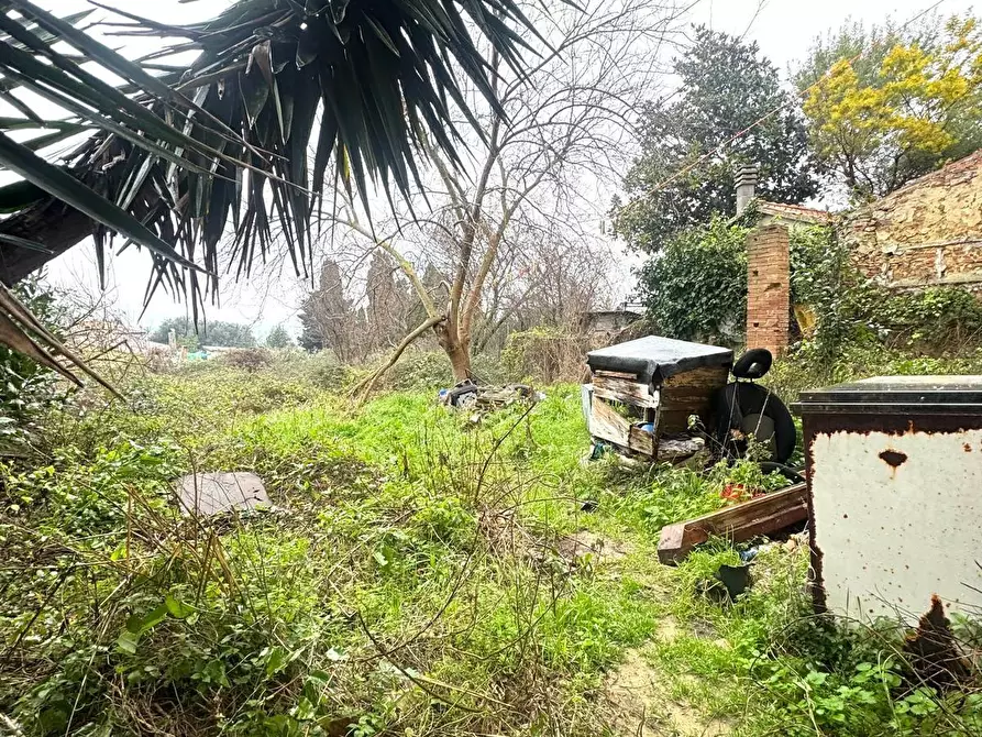 Immagine 4 di Terratetto in vendita  a Casciana Terme Lari