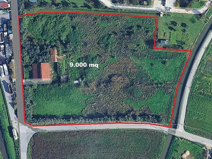 Immagine 20 di Villa in vendita  a Camaiore