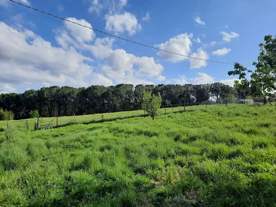 Immagine 26 di Casa indipendente in vendita  a Montopoli In Val D'arno