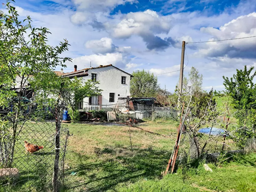 Immagine 3 di Casa indipendente in vendita  a Montopoli In Val D'arno