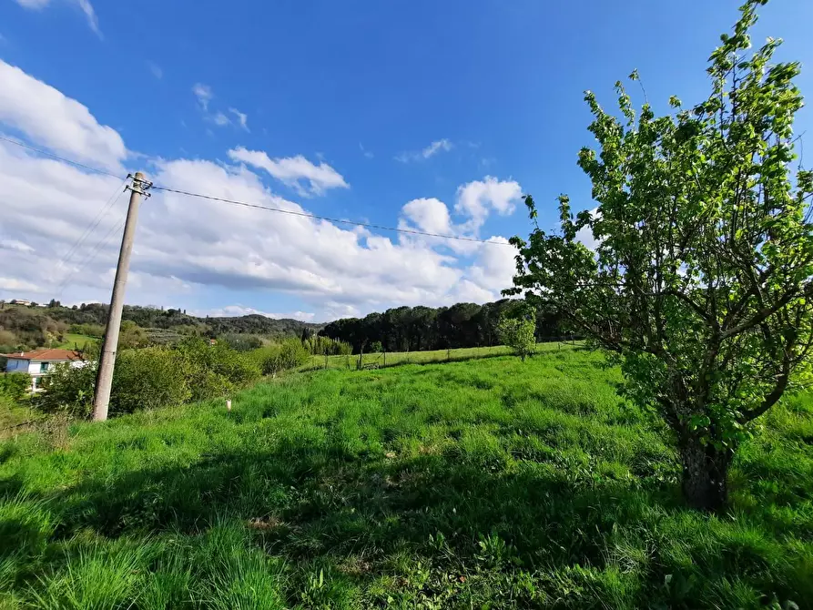 Immagine 23 di Casa indipendente in vendita  a Montopoli In Val D'arno