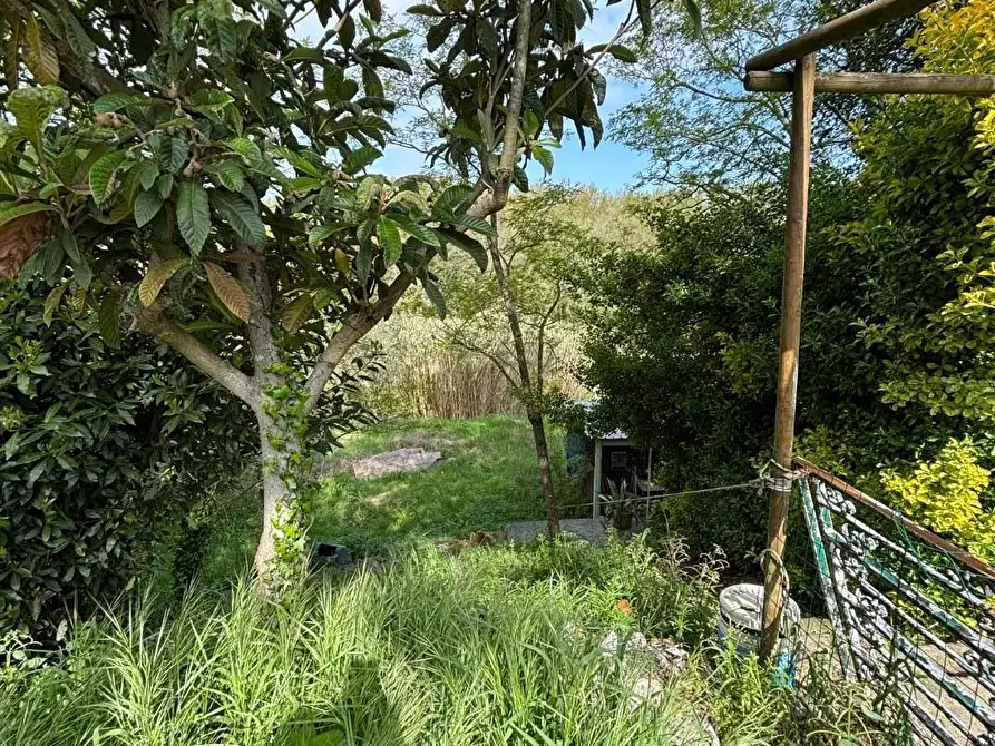 Immagine 48 di Appartamento in vendita  a Collesalvetti