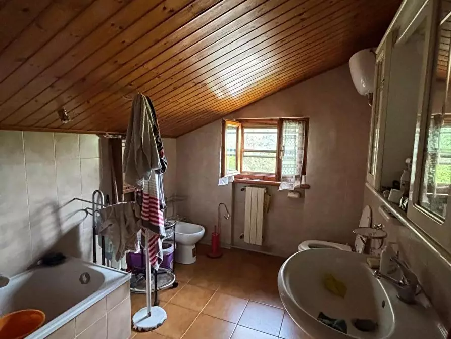 Immagine 38 di Appartamento in vendita  a Collesalvetti