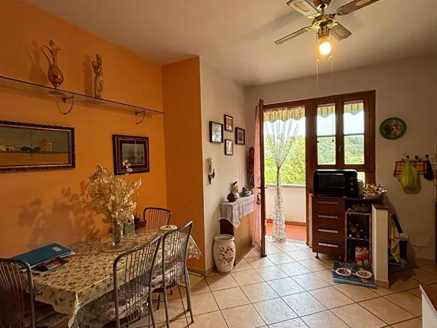 Immagine 27 di Appartamento in vendita  a Collesalvetti