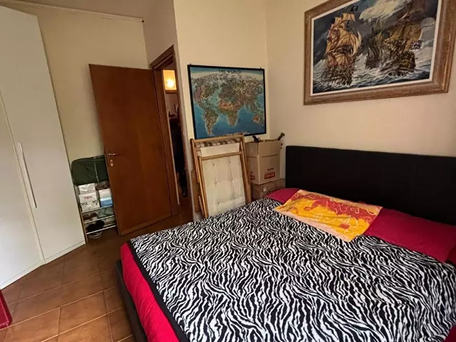 Immagine 18 di Appartamento in vendita  a Collesalvetti