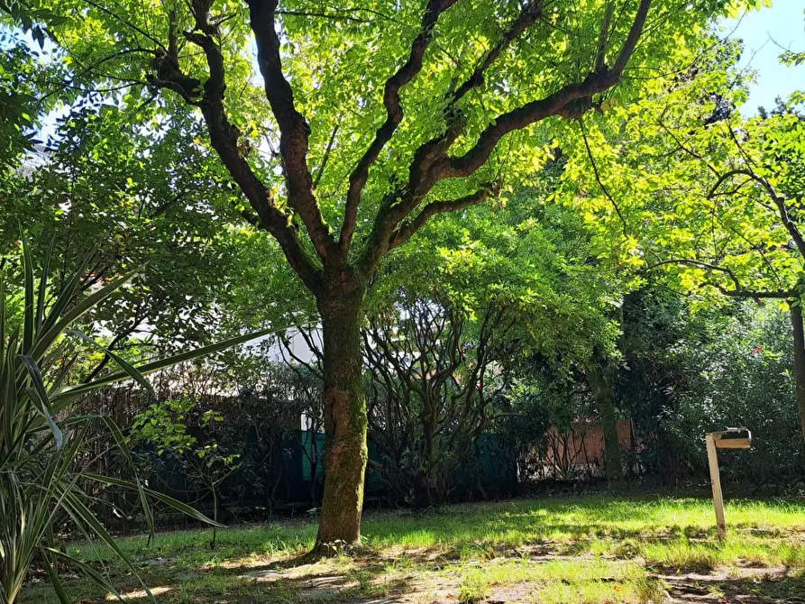 Immagine 12 di Appartamento in vendita  a Massa