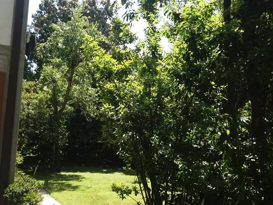 Immagine 14 di Appartamento in vendita  a Massa