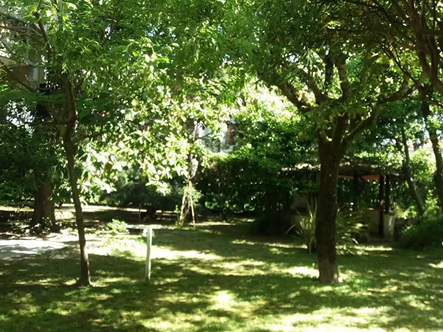 Immagine 15 di Appartamento in vendita  a Massa