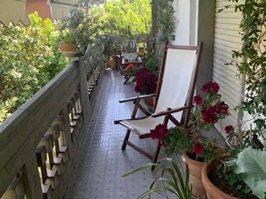 Immagine 5 di Appartamento in vendita  a Massa