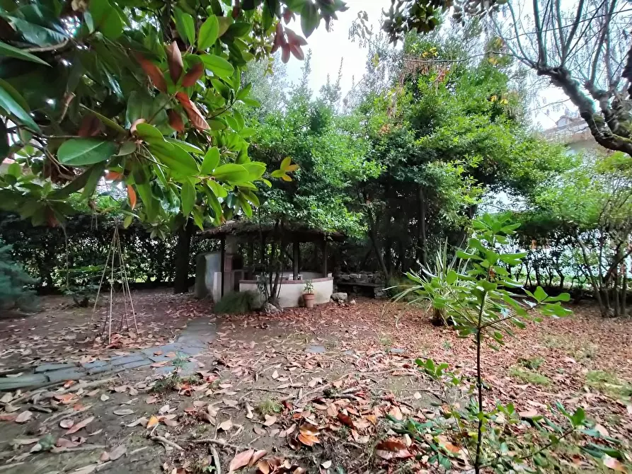 Immagine 14 di Appartamento in vendita  a Massa